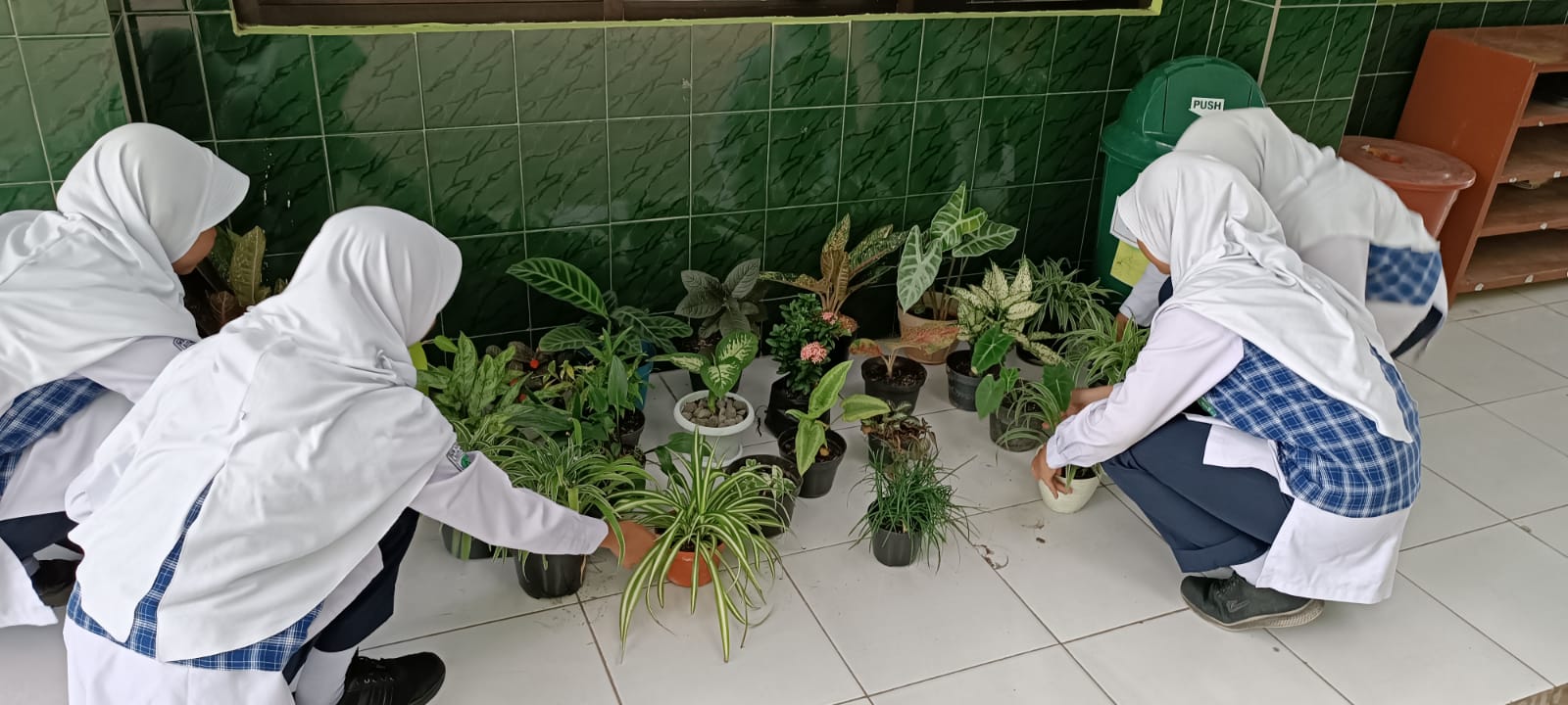 WhatsApp Image 2023-06-05 at 11.59.41 (1)