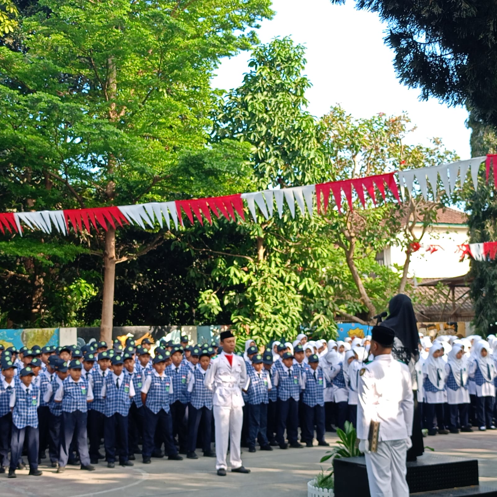 WhatsApp Image 2024-08-27 at 07.18.50 (1)