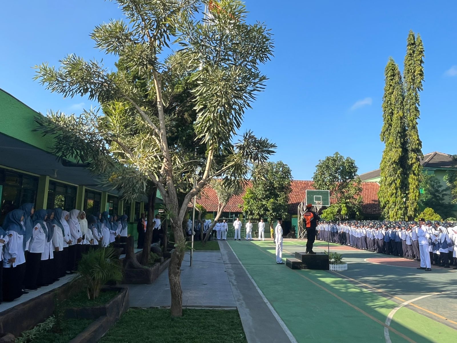 WhatsApp Image 2025-09-22 at 07.55.39