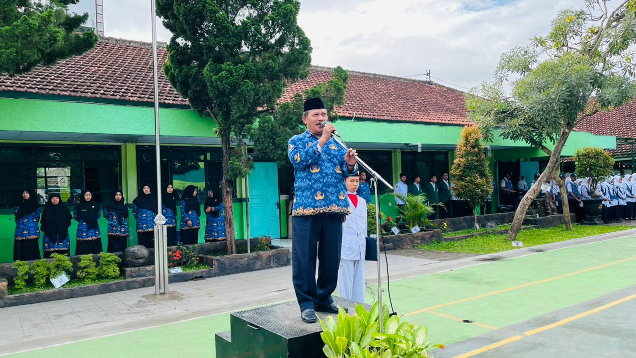 WhatsApp Image 2025-11-17 at 07.52.31